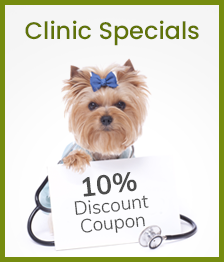 Layer-156_0001_Clinic-Specials